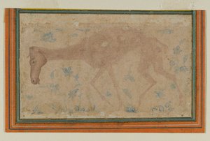 En udmagret hest, fra Mughal eller Deccan, midten af det 17. århundrede (blæk & farvevask på papir) af Indian School