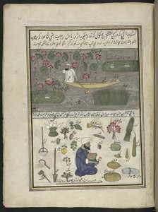 Bådsmand samler lotusrod; landbrug på vandet,  86 tegninger indbundet i et bind, der viser håndværk og erhverv i Kashmir, håndværkere vises i arbejde med deres redskaber og udstyr,  Af en Kashmir-kunstner, sandsynligvis i Srinagar, ca. 1850-60 (gou af Indian School