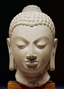 Buddha Head, Sarnath kultur, 500 e.Kr. (buff sandsten)