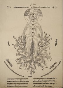 Diagram, der viser meridianpunkter på den menneskelige krop af Indian School
