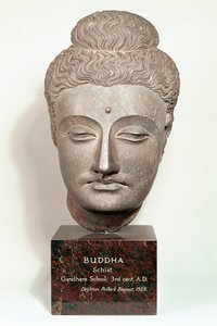 Hoved fra en statue af Buddha, fra Gandhara, Nordvestindien (grå skifer)