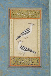 Hoopoes, ca. 1590 (ugennemsigtigt wc & guld på papir) af Indian School