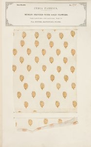 Muslinprøve trykt med guldblomster fra Jeypore i Rajpootana-staterne, fra The Collection of the Textile Manufacturers of India, af John Forbes Watson, udgivet i 1866 af Indian School