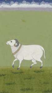 Vædder med gylden krave, 1700-1799 af Indian School