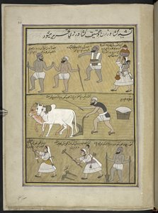 Såning af uafskallet; pløjning; knækker klumper,  86 tegninger indbundet i et bind, der viser håndværk og erhverv i Kashmir, håndværkere vises i arbejde med deres redskaber og udstyr,  Af en Kashmir-kunstner, sandsynligvis i Srinagar, ca. 1850-60 (gouache  af Indian School