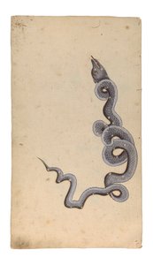 The Constellation of the Dragon: al-Tinnin, 1740 (ugennemsigtigt wc, blæk og guld på papir) af Indian School
