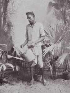 Bombay / Mumbai: Gartner (s/h-foto) af Indian photographer