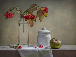  af Inna Karpova