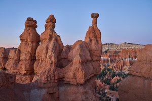 Et landskab i Bryce Canyon National Park, Utah, 2020 (foto) af Ira Block