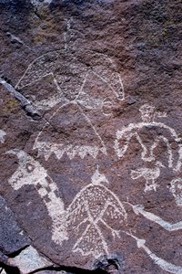 Anasazi klippekunst ætsninger fundet i New Mexico.