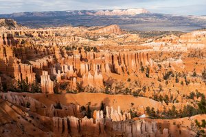 Hoodoos - spir skabt af erosion - i Bryce Canyon National Park i Utah, 2019 (foto)