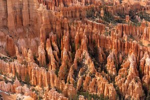 Hoodoos - spir skabt af erosion - i Bryce Canyon National Park i Utah, 2019 (foto) af Ira Block