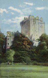 Blarney Castle, Cork af Irish Photographer