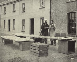 Fremstilling af lerrør, Drogheda (s/h foto) af Irish Photographer