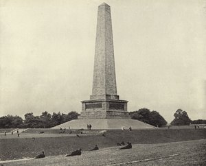The Wellington Testimonial, Phoenix Park (s/h-billede) af Irish Photographer