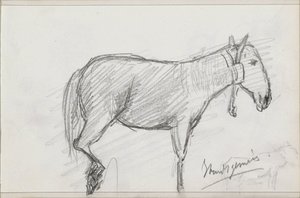 Hest af Isaac Gosschalk
