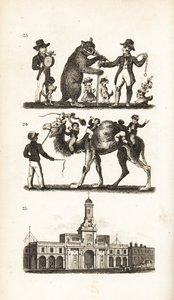 Dansende bjørn og hund, kamel og abe og Royal Exchange