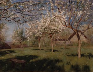 Æbletræer blomstrer