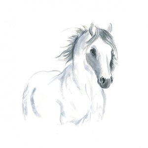 Studie af hest i bevægelse