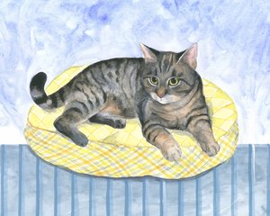 Pudekat