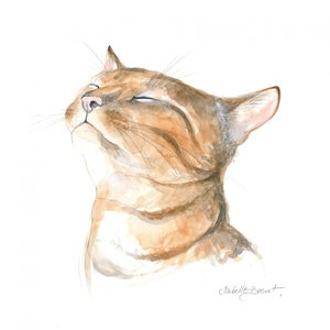 Fredfyldt stribet kat
