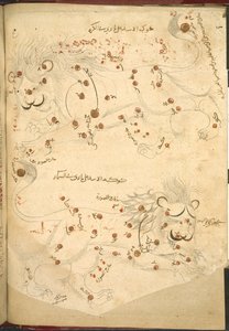 Eller 5323 f.45v To løver, illustration fra 