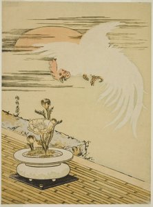Pik, der flyver over Pot of Adonis af Isoda Koryusai