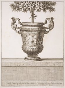 Bronzeurner som brugt til citrustræer, illustration fra 