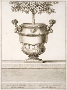 Bronzeurner som brugt til citrustræer, illustration fra 