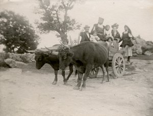 Familie på oksetrukket vogn, Sardinien, Italien, ca. 1910