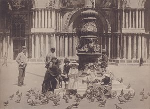 Piccioni (s/h foto) af Italian Photographer