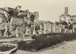 Forum Romanum, Konstantinbasilikaen, Romulus-templet og Vestaljomfruernes Hus af Italian Photographer