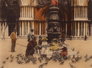 Venedig / Venedig: Piccioni (foto i farver) af Italian Photographer