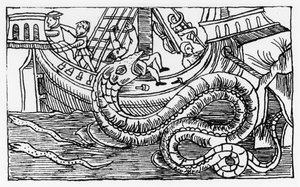 En havslange, fra "Historia de Gentibus Septentrionalibus" af Olaus Magnus (1490-1557) udgivet i Rom i 1555