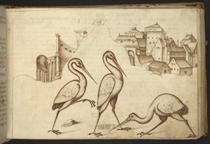 Tilføje. 82955, f.107   Ibiser (