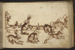 Tilføje. 82955, f.165 Kaniner (