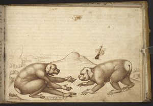 Tilføje. 82955, f.244 Hundelignende væsner, der kæmper (