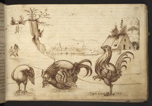 Tilføje. 82955, f.37   Kyllinger (