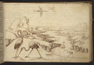 Tilføje. 82955, f.93 Hejre (