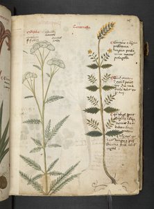 Tilføj MS 41623 
