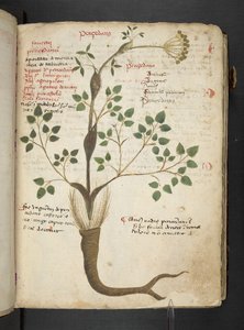 Tilføj MS 41623 