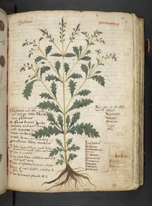 Tilføj MS 41623 