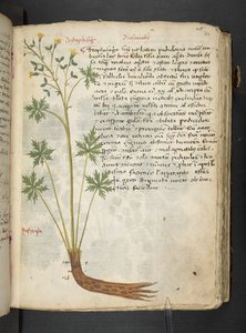 Tilføj MS 41623 