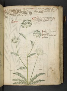 Tilføj MS 41623 