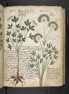 Tilføj MS 41623 