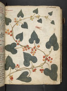 Tilføj MS 41623 