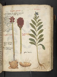 Tilføj MS 41623 