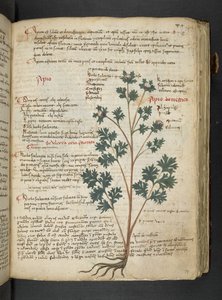 Tilføj MS 41623 