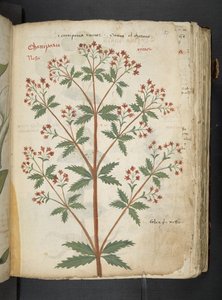 Tilføj MS 41623 