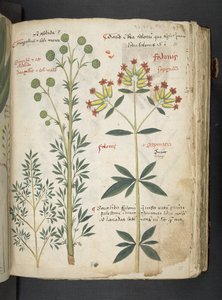 Tilføj MS 41623 